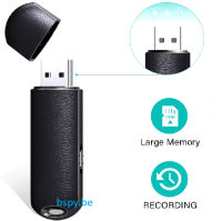 USB Stick audiorecorder_2